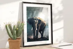 موکاپ قاب عکس مشکی کنار گلدان کاکتوس روی میز چوبی