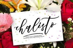 فونت خوشنویسی و کالیگرافی Chalisto + فونت تزئینی