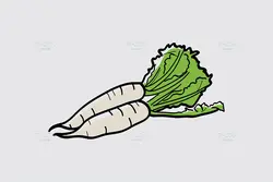 25 طرح وکتور سبزیجات و گیاهان مزرعه