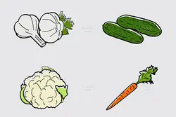 25 طرح وکتور سبزیجات و گیاهان مزرعه