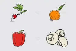 25 طرح وکتور سبزیجات و گیاهان مزرعه