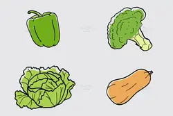 25 طرح وکتور سبزیجات و گیاهان مزرعه