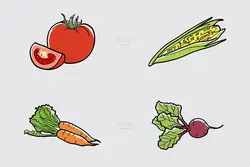 25 طرح وکتور سبزیجات و گیاهان مزرعه