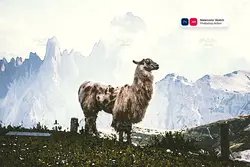 اکشن فتوشاپ نقاشی آبرنگی