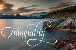 فونت خوشنویسی و کالیگرافی آمریکایی