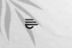 موکاپ لوگو روی دیوار