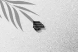 موکاپ لوگو روی دیوار