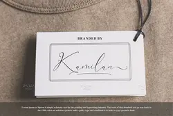 فونت خوشنویسی رمانتیک Falminga Charia