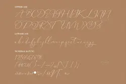 فونت خوشنویسی رمانتیک Falminga Charia