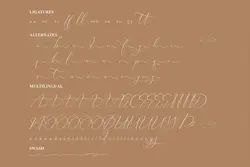 فونت خوشنویسی رمانتیک Falminga Charia