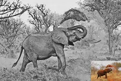 اکشن فتوشاپ تبدیل عکس به نقاشی هنری