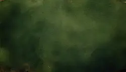 10 تکسچر کاغذ قدیمی سبز تیره