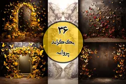 36 بک گراند پروانه برای آتلیه عکاسی