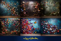 36 بک گراند پروانه برای آتلیه عکاسی