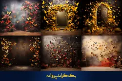 36 بک گراند پروانه برای آتلیه عکاسی