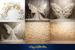 36 بک گراند پروانه برای آتلیه عکاسی