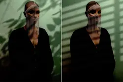 PNG سایه پنجره و درختان