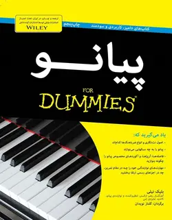 پیانو _ دامیز - فروشگاه اینترنتی رادوین ملودی