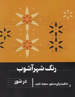 رنگ شهر آشوب در شور - فروشگاه اینترنتی رادوین ملودی