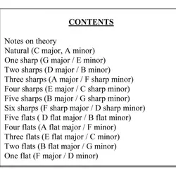 گام های فلامنکو برای گیتار اسپانیش - فروشگاه اینترنتی رادوین ملودی
