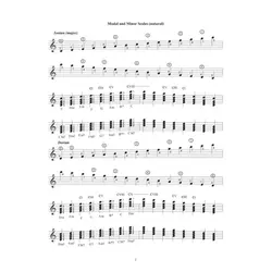 گام های فلامنکو برای گیتار اسپانیش - فروشگاه اینترنتی رادوین ملودی