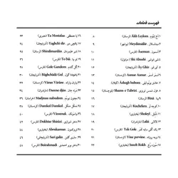 گل افشان _ ترانه های محلی برای گیتار (جلد اول) - فروشگاه اینترنتی رادوین ملودی