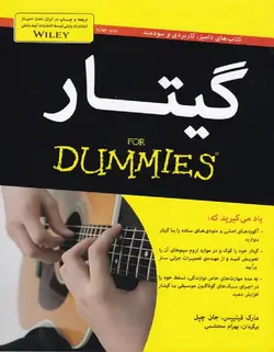 گیتار _ دامیز - فروشگاه اینترنتی رادوین ملودی