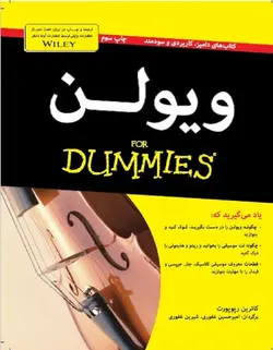 ویولن _ دامیز - فروشگاه اینترنتی رادوین ملودی