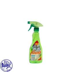 شیشه پاک کن گنج