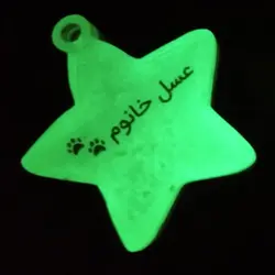 پلاک شبرنگی ستاره کد 031