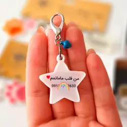 پلاک سگ فیمو ستاره (3cm) کد 034