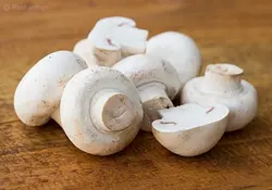 آموزش پرورش قارچ دکمه ای از 0 تا 100 + تجهیزات لازم