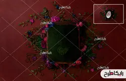 بک دراپ و پس زمینه عکاسی نوزاد