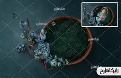 بک دراپ و بک گراند عکاسی نوزاد