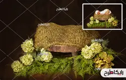 دانلود بک دراپ کودک و نوزاد