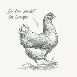 غذای خشک سگ بالغ medium adult طعم مرغ برند Babin بابین 12 کیلویی