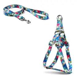 قلاده کتفی با لید مدل ریتم برند Ninapet نیناپت سایز 1