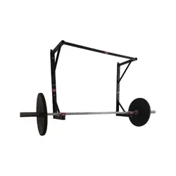 بارفیکس دیواری حرفه ای مدل FT401