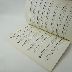 کتاب شیوه نوازندگی کاخن جلد2