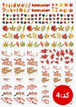 ترنسفر های طلقی رزین مارت