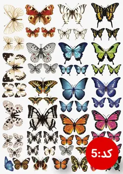 ترنسفر های طلقی رزین مارت