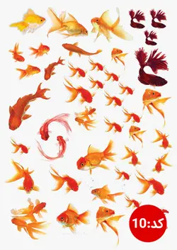 ترنسفر های طلقی رزین مارت