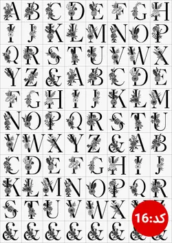 ترنسفر های طلقی رزین مارت