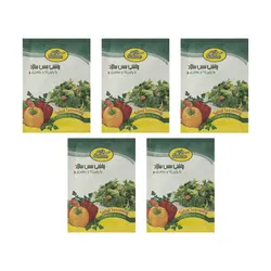 چاشنی سالاد سبزان – 10 گرم بسته 5 عددی