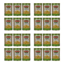 کنسرو نخود آبگوشتی دلپذیر – 420 گرم بسته 24 عددی