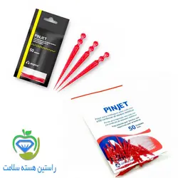 پین جت