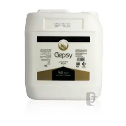 اکسیدان 9% جیپسی Gepsy 30V 4L