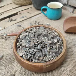 تخمه دور سفید نمکی