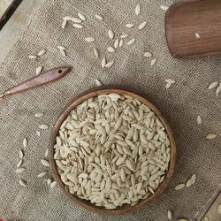 تخمه کدو مشهدی