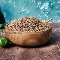شاهدانه شور